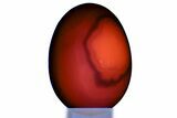 Polished Banded Pink Mangano Calcite Egg - Flourescent! #314474-2